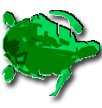 seaturtle.org logo