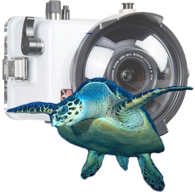 Jim Consuegra's Gallery